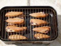 hot smoked mackerel