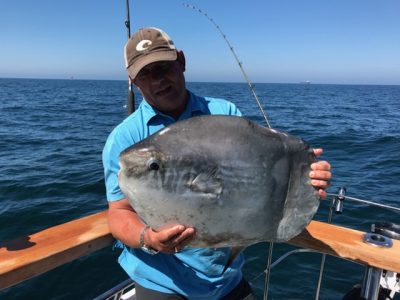 Kev Johnson Sunfish 18-20lb