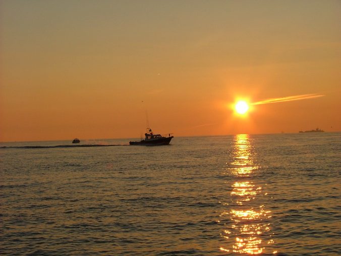 Sea Fishing Hampshire