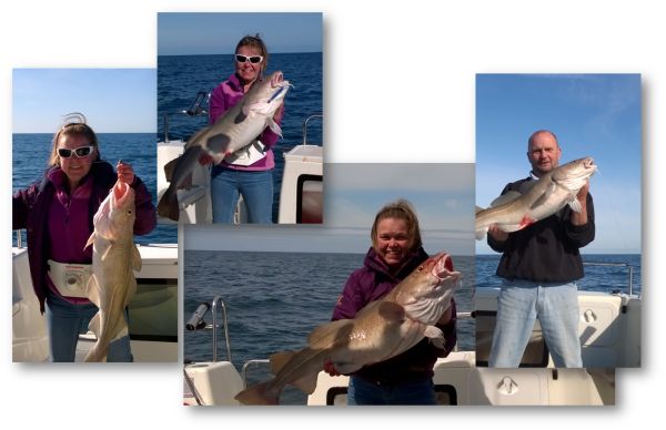 Cod fishing Hampshire