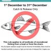 Bass: Catch & Release after 1st December