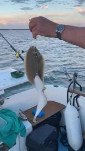 078ee0bd-f2d2-4cf7-b66c-333900592612 Moment