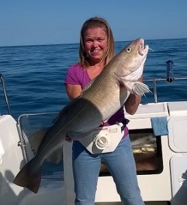 21lb summer cod