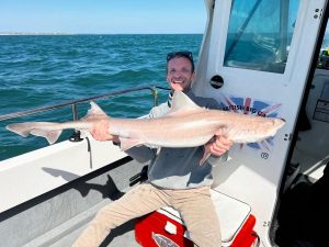 25-8-Smoothhound-Harvest-Moon