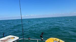 41F3C07C-63E5-455B-AD31-FACFB099200C