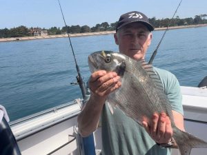 Andy-Bird-Gilthead-cr
