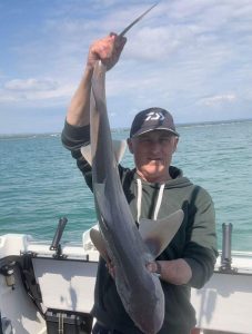 Andy-Bird-Smoothhound