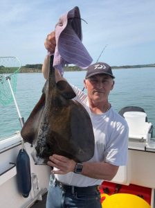 Andy-Bird-Stingray