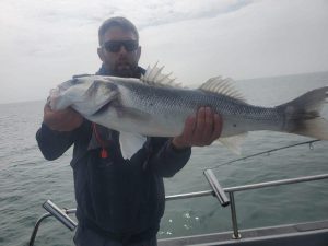 Bass