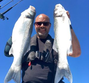 Bass (1) (1) (1) (1)