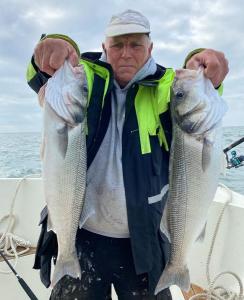 Clive-Newnham-Bass-2