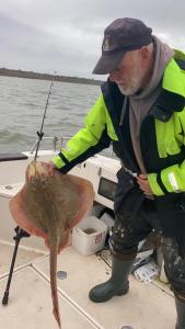 Clive-Newnham-Undulate-Ray