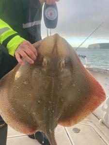 Dave-Nenham-22lb-Blonde-Ray