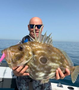 Mark-Banks-John-Dory-vertical