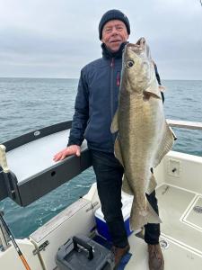 Mark-Banks-Pollack (1) (1) (1) (1)