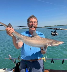 Pete-Smoothhound