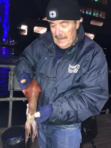 Peter-Churchill-Squid