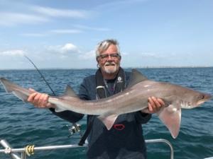 Peter-Kinchin-Smoothhound-20lb