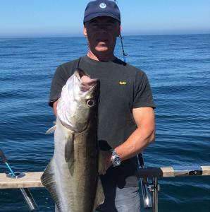 Pollack-Mark-Banks-c