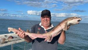 Ray-Plomer-Bull-Huss