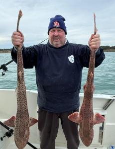 Ray-Plomer-Bull-Huss (1)