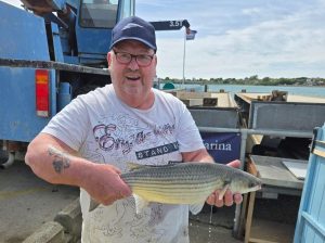 Ray-Plomer-Mullet-banner