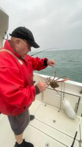 Ray-Plomer-Spider-Carb