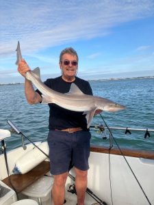 Smoothhound-from-the-harbour
