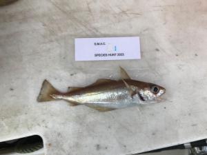 WhatsApp-Image-2024-02-01-at-06.59.38 5e154ff9