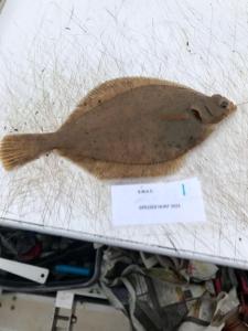 WhatsApp-Image-2024-02-01-at-06.59.39 8dfc567d