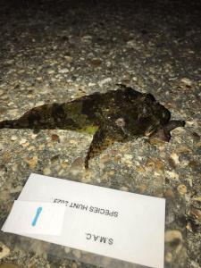 WhatsApp-Image-2024-02-01-at-06.59.40 86c153b9