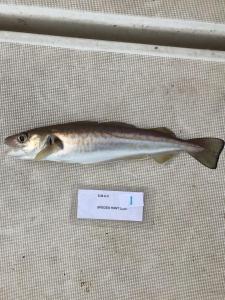 WhatsApp-Image-2024-02-01-at-06.59.40 d1eb86a8