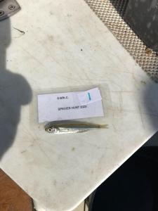 WhatsApp-Image-2024-02-01-at-06.59.41 6ee5b456