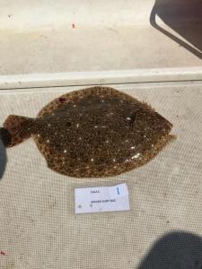 WhatsApp-Image-2024-02-01-at-06.59.41 d1425a50