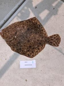 WhatsApp-Image-2024-02-01-at-06.59.42 84f51352