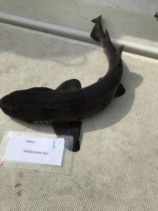 WhatsApp-Image-2024-02-01-at-06.59.42 bbef37da