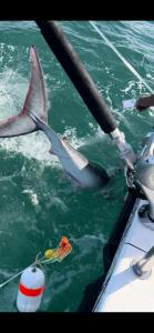 WhatsApp-Image-2024-02-01-at-06.59.43 25b48585