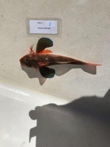 WhatsApp-Image-2024-02-01-at-06.59.43 8fd97b9a