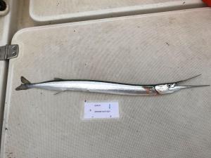 WhatsApp-Image-2024-02-01-at-06.59.44 4f2f02a7