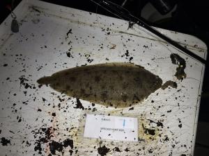 WhatsApp-Image-2024-02-01-at-06.59.44 6a36cc15