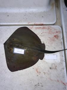 WhatsApp-Image-2024-02-01-at-06.59.45 5aed34cd