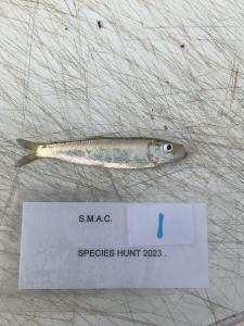 WhatsApp-Image-2024-02-01-at-06.59.46 b03e920f