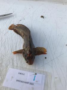 WhatsApp-Image-2024-02-01-at-06.59.47 b18cc06f