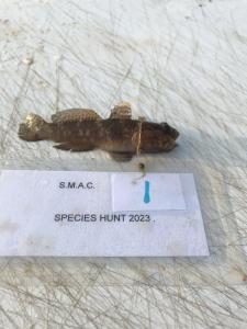 WhatsApp-Image-2024-02-01-at-06.59.47 ff9f5bb2