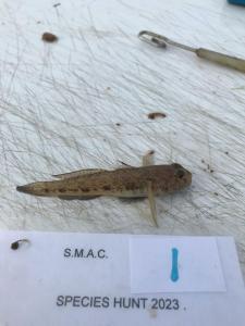 WhatsApp-Image-2024-02-01-at-06.59.48 9ef49f3c