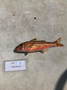 WhatsApp-Image-2024-02-01-at-06.59.48 bf020f63