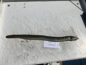 WhatsApp-Image-2024-02-01-at-06.59.49 0c1b5223