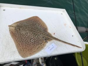 WhatsApp-Image-2024-02-01-at-06.59.49 7eb72e08