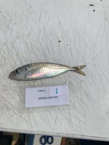 WhatsApp-Image-2024-02-01-at-06.59.50 f59c19d8