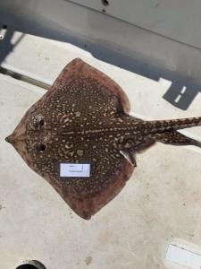 WhatsApp-Image-2024-02-01-at-06.59.51 44f86e82